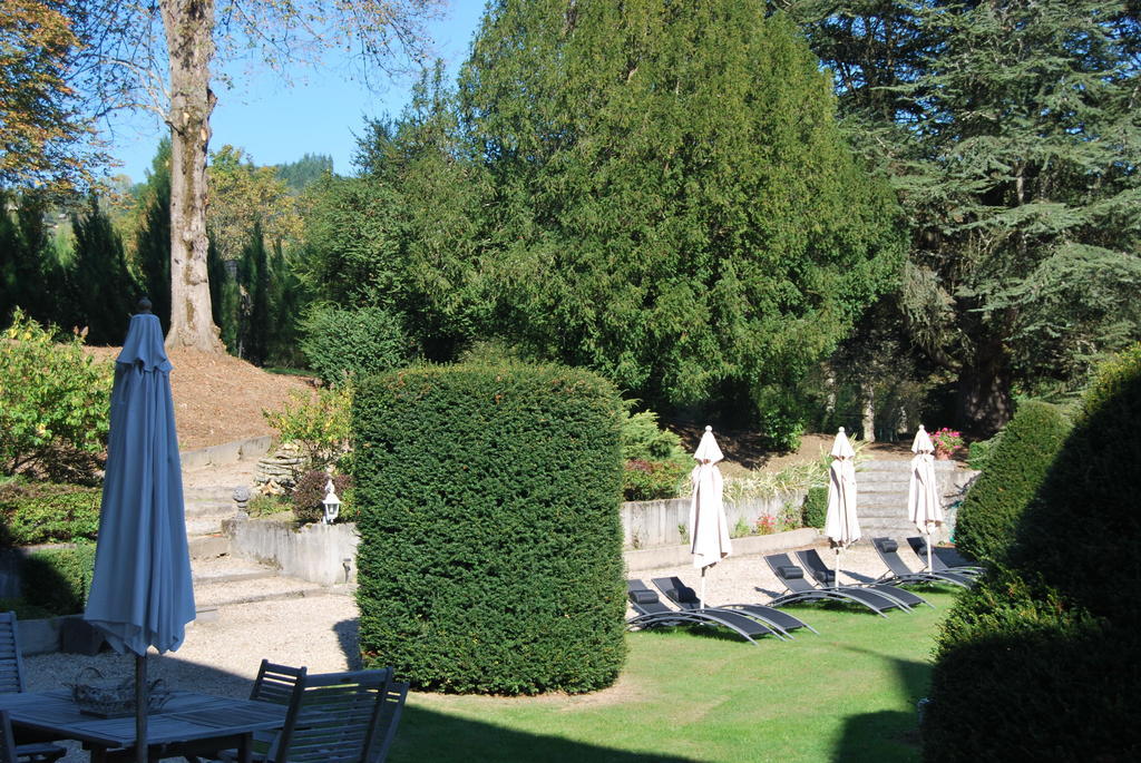 Chateau De Chantelauze Olliergues المظهر الخارجي الصورة